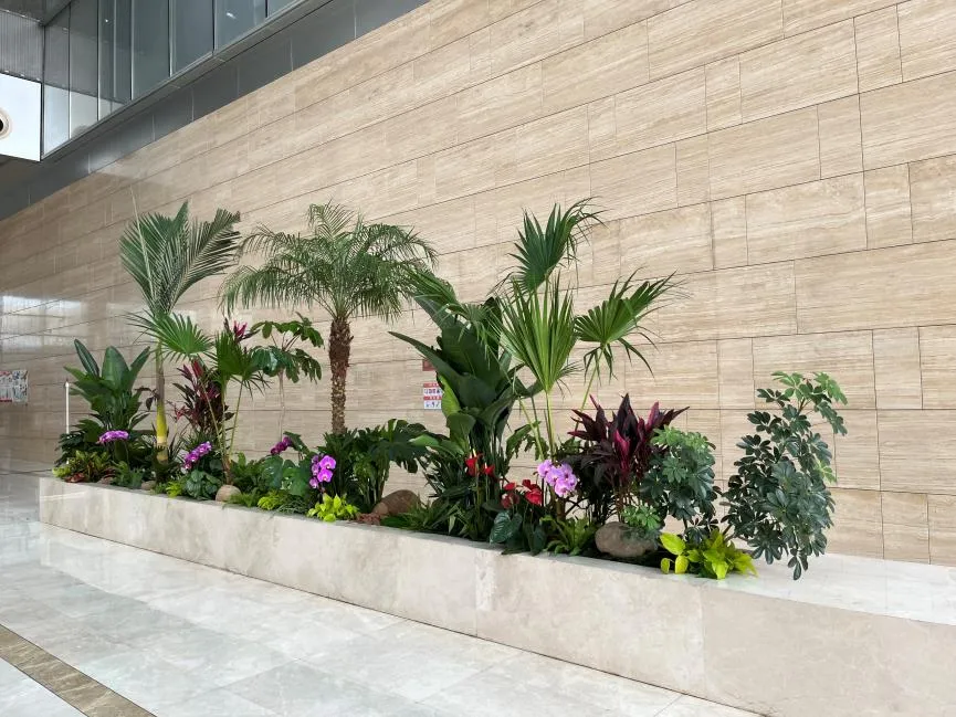 宁波北仑盆景租赁公司